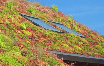 Gorehill living roof systems